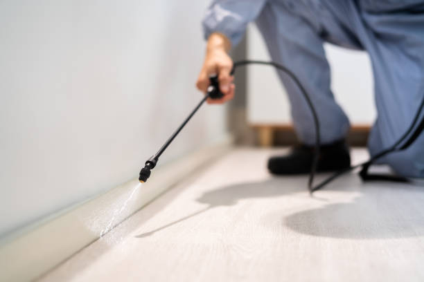 Licensed Termite Control service in Mount Orab, OH - Nex Pest Control