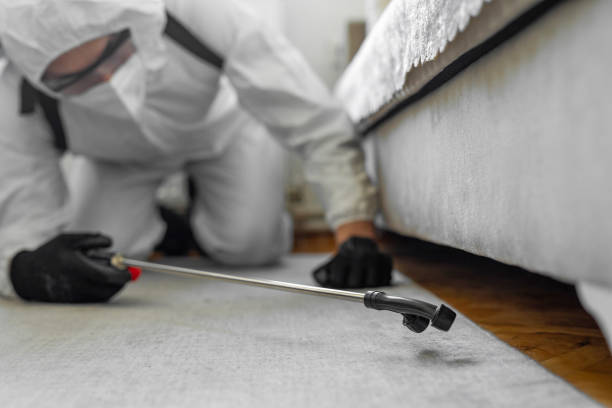 Professional Termite Control technician working in Mount Orab, OH