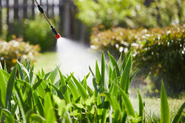 24/7 Emergency Termite Control experts in Mount Orab, OH