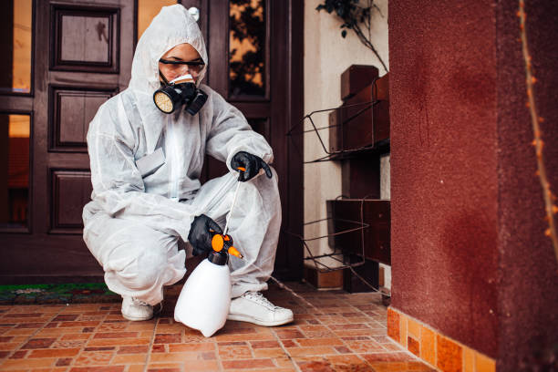 Reliable Termite Control contractor in Mount Orab, OH by Nex Pest Control