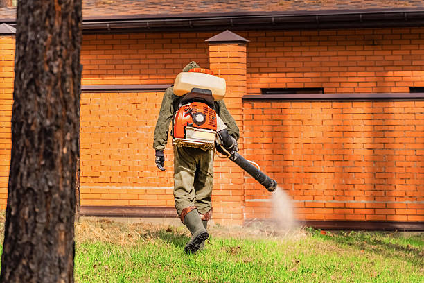 Top rated local Termite Control specialists in Mount Orab, OH